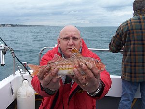 sea fishing in Poole - tope