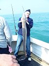 conger fishing no 3
