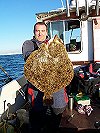 brill - turbot fishing no 2