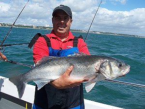 sea fishing in Poole - bass