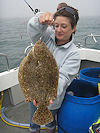 brill - turbot fishing no 9