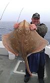 ray fishing no 22
