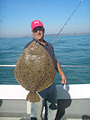 brill - turbot fishing no 9